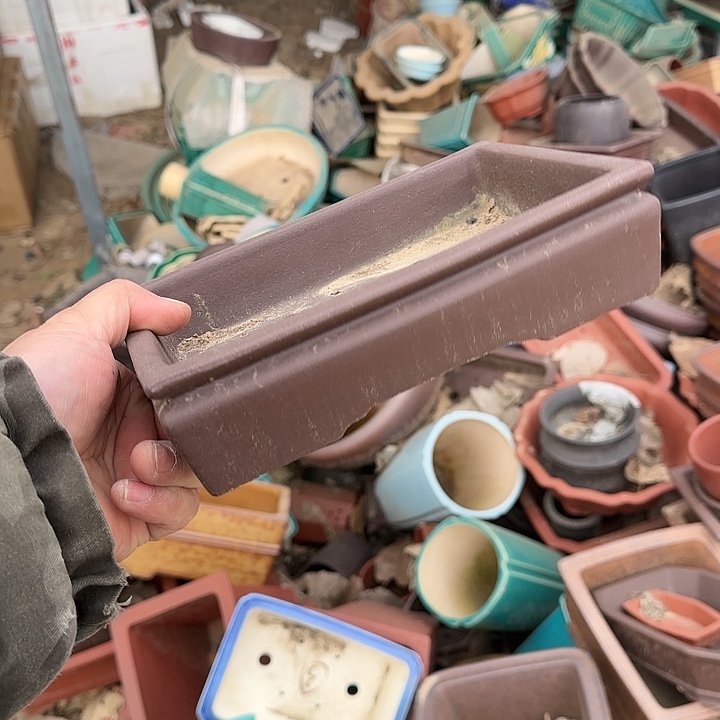 不说算什么呀亲爱的在那你干吧明天