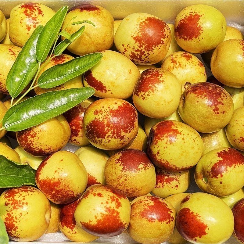 【顺丰次日达】新疆冬枣脆甜多汁正宗鲜枣冬枣脆枣孕妇水果新疆维吾尔自治区