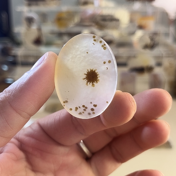 玛瑙/玉髓吊坠(不含链)未镶嵌