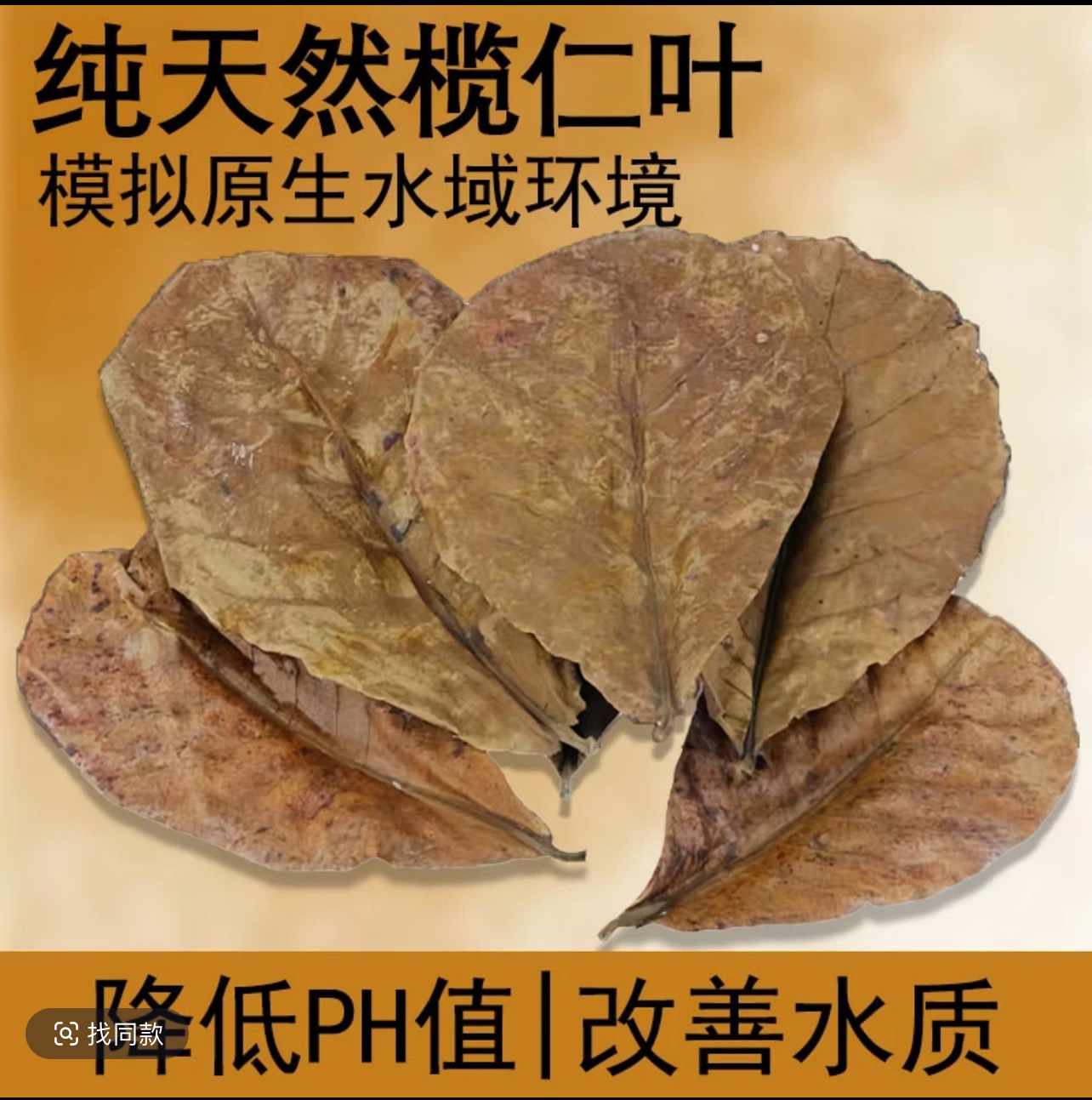 榄仁叶懒人叶斗鱼繁殖埃及短鲷罗汉定水降酸鱼缸水族增色