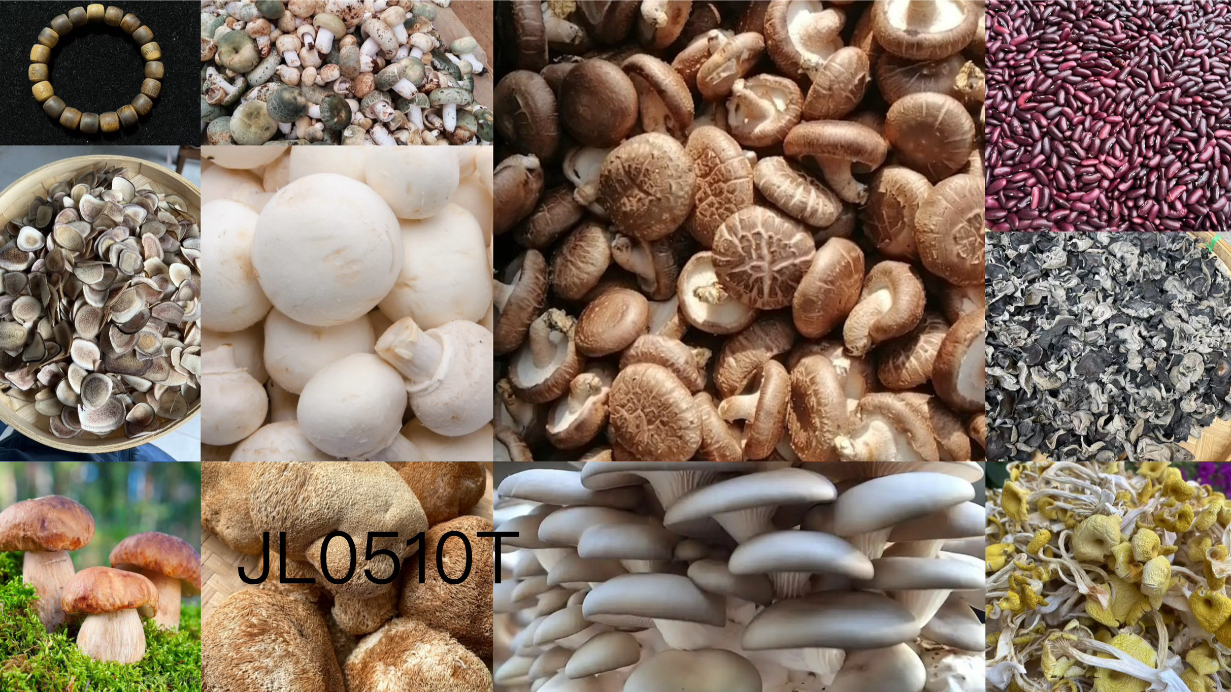 《阿浩专用土特产JL0510T》多样性发货 重量16克左右