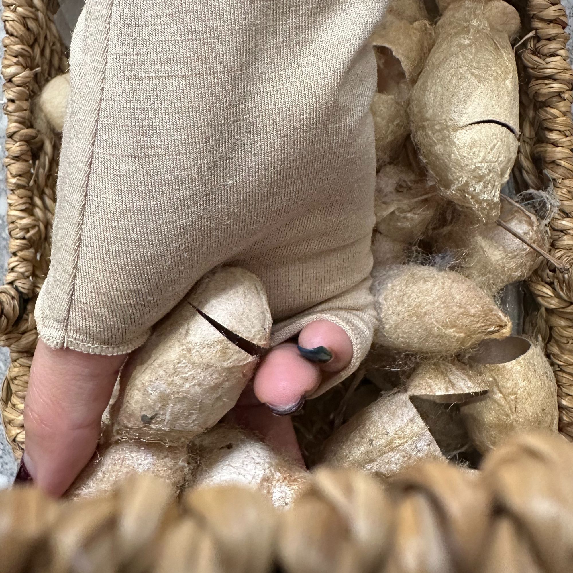 JW【面膜手套】2025早春新款柞蚕丝女士时尚简约网红休闲薄款