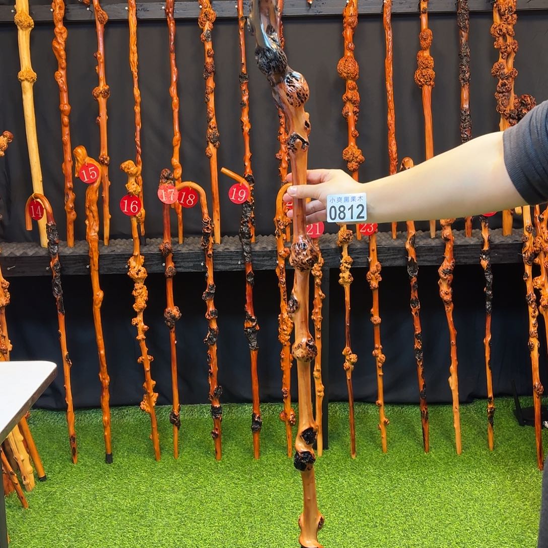 阿***勇黑果木拐杖手把件812