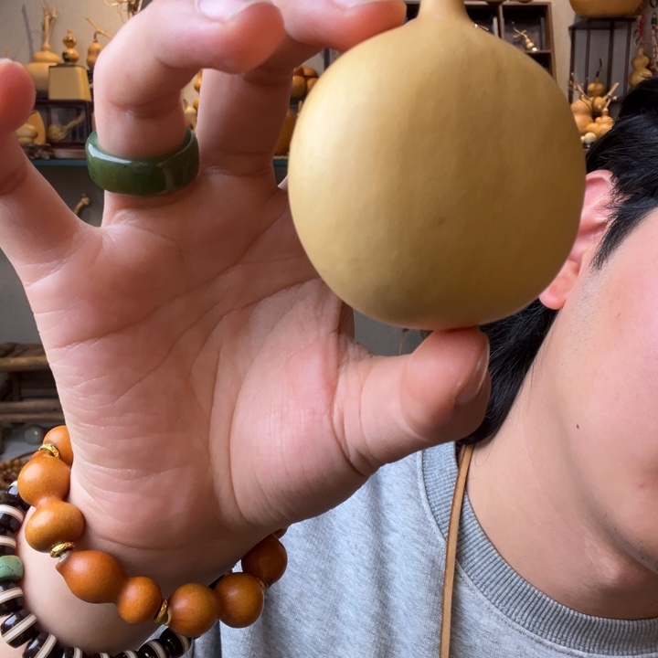 易****花定向夹扁葫芦