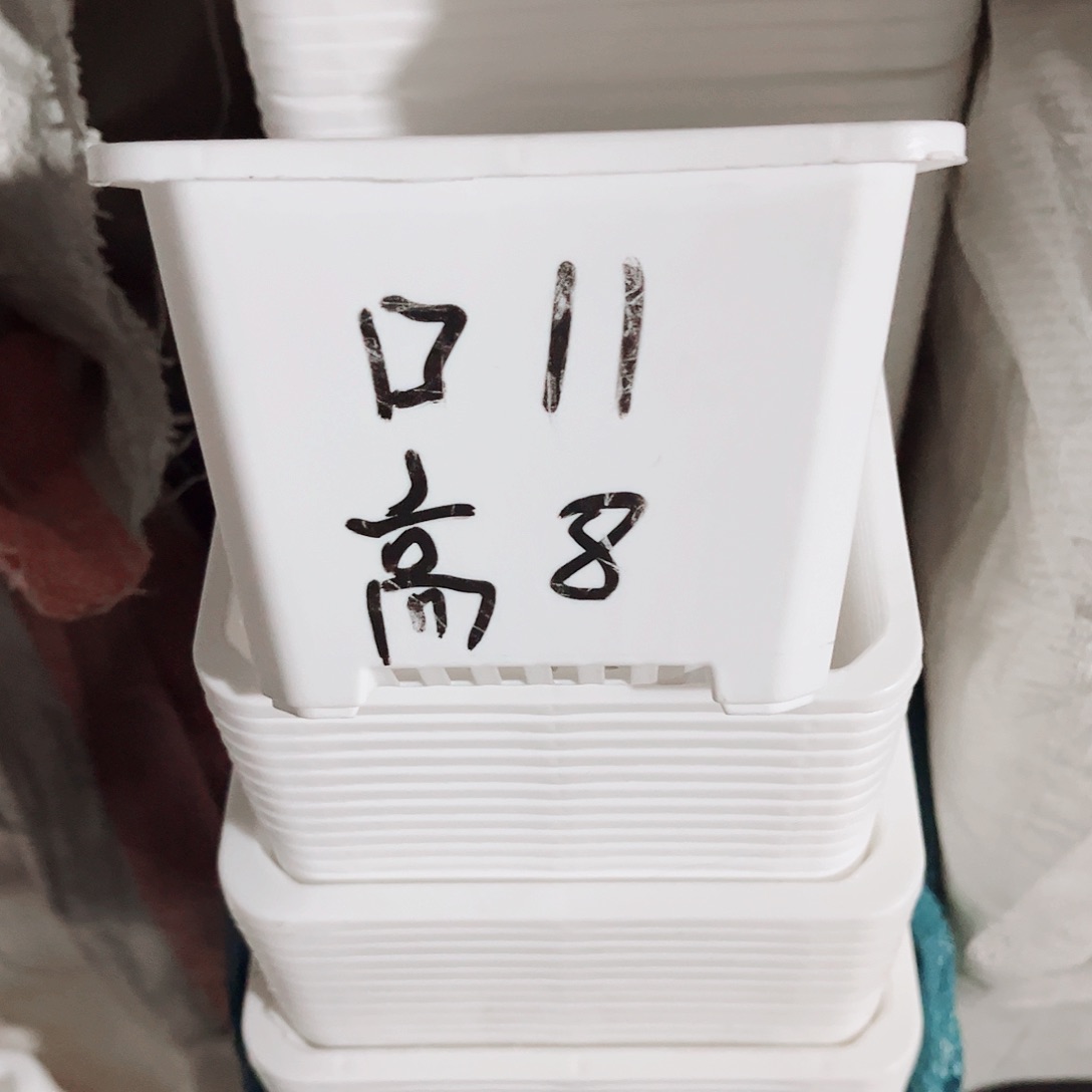 塑料福利款11方白色盆30个无托