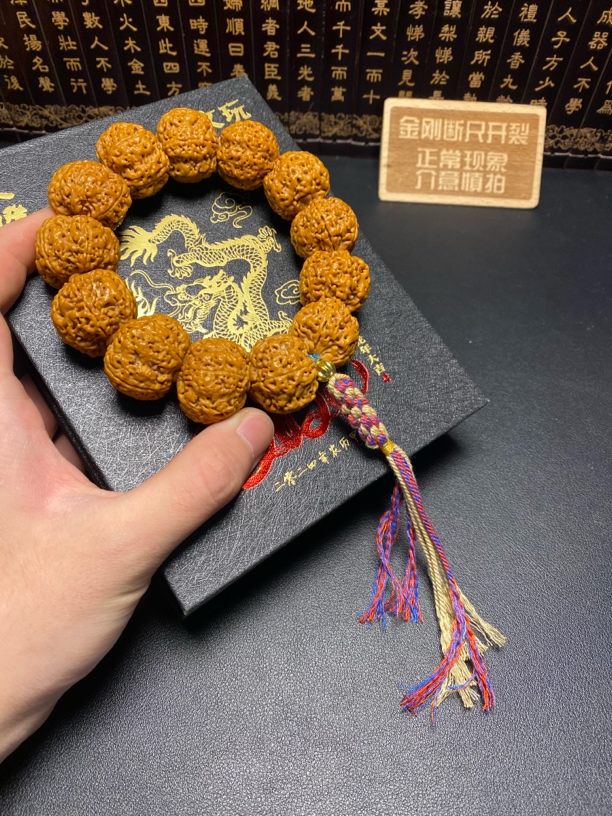 高端头货大尺寸老树梅花（23号）