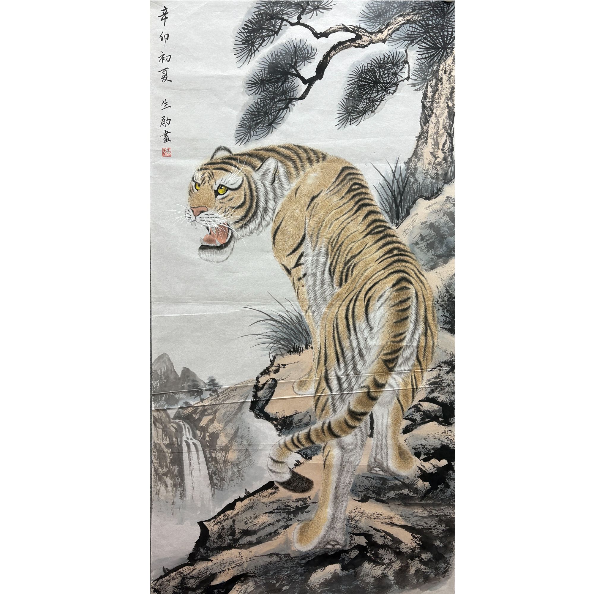 WSY软片138*68拓底联系客服