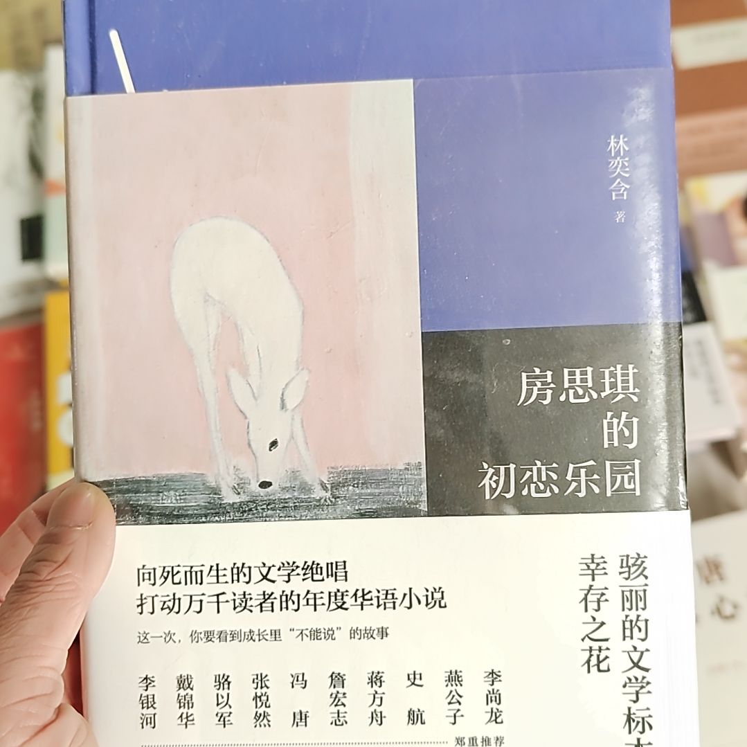 房思琪的初恋乐园 精装 