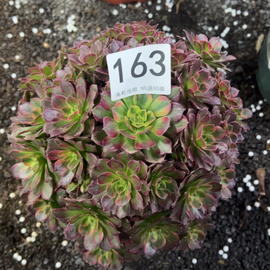 我是真的很喜欢这个