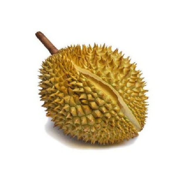 新鲜 越南榴莲 核小 专拍 一果一重 默认开启 开启后非质量问题不接受退款A金枕泰国金枕泰国