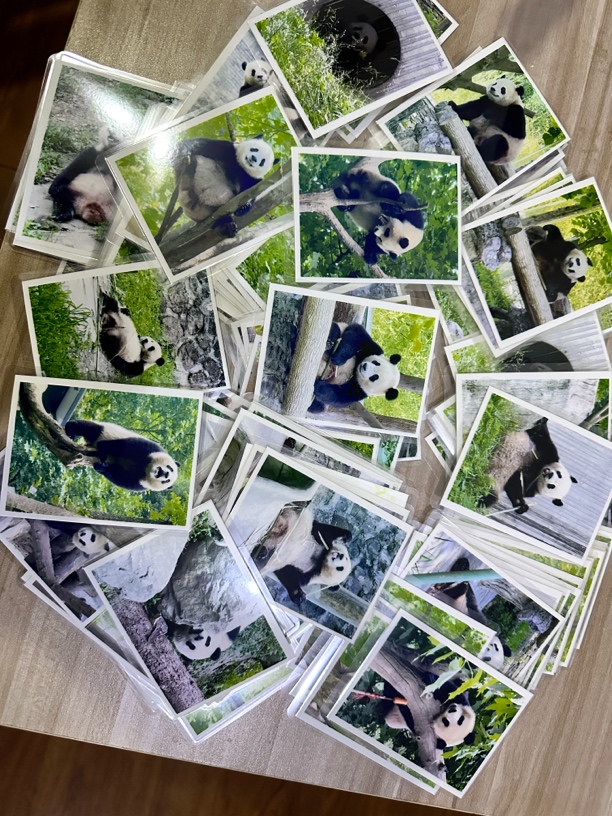 星秋自拍50张加塑5寸照片