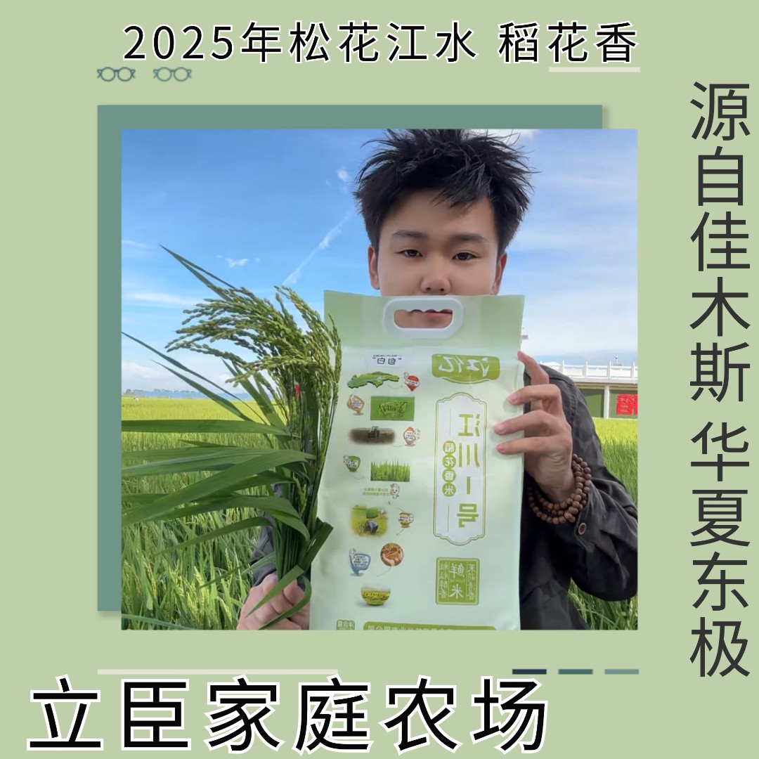 2025江川农场松花江水灌溉5kg东北稻花香大米新软糯香甜煮饭