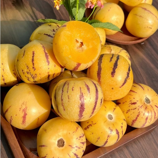 【自然树熟】精选云南直发人参果黄果黄肉新鲜采摘云南特产5斤