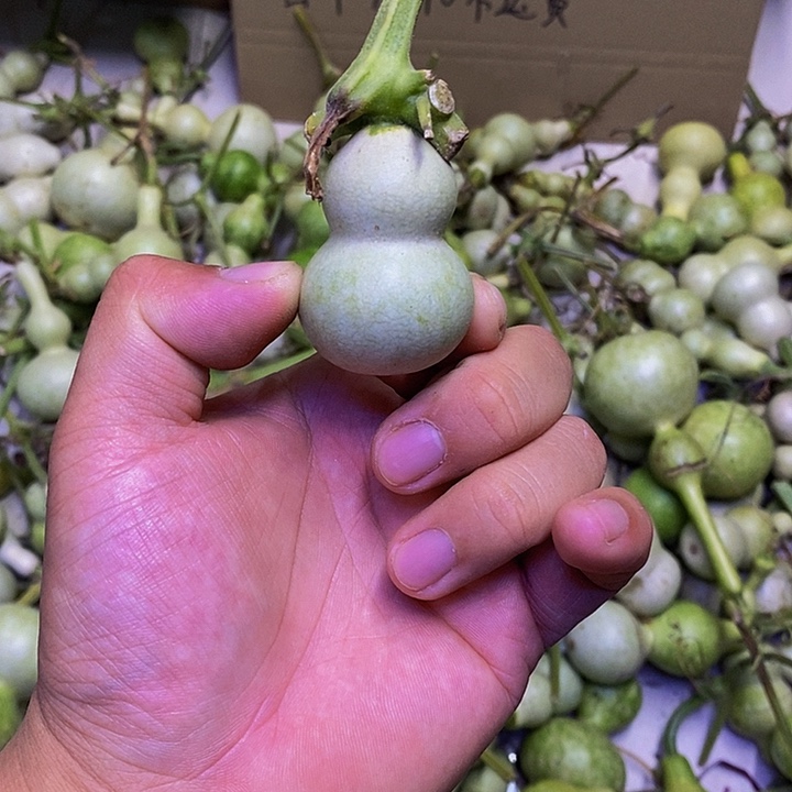 乌*呗长嘴哈哈哈哈哈哈哈哈哈哈哈哈哈太