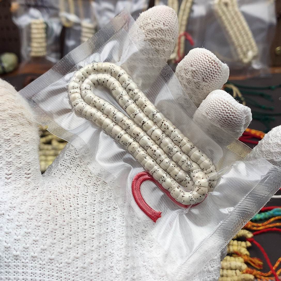 星月菩提吊坠流**?卡六原白大肠