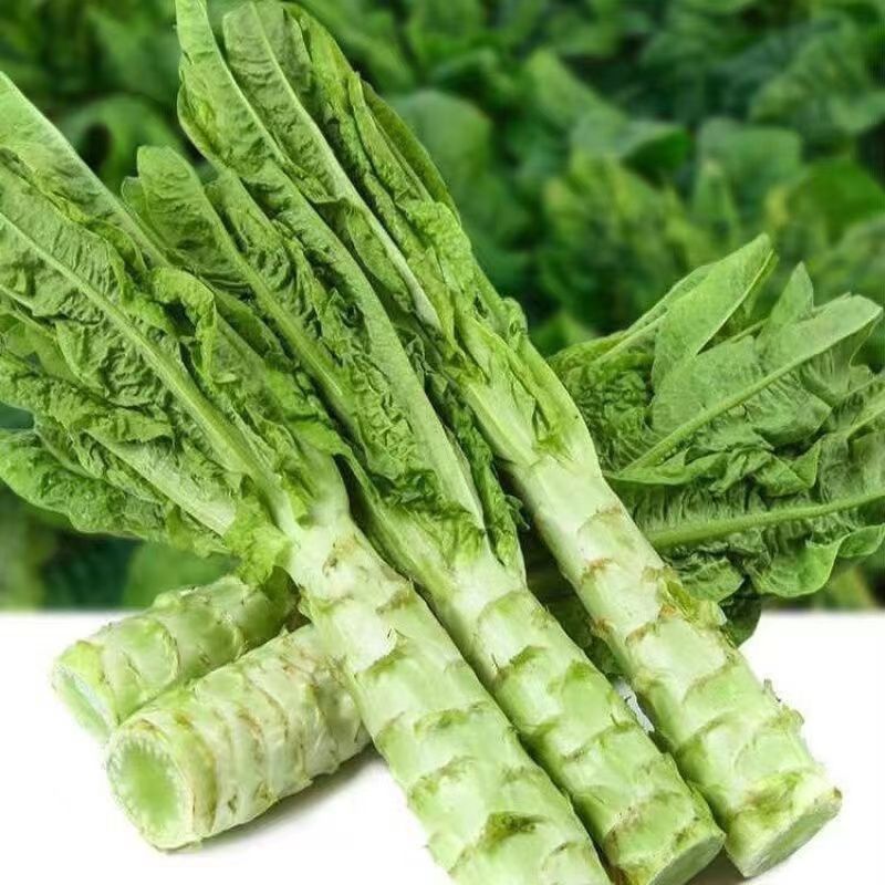 新鲜绿心莴笋当季时令蔬菜现摘现发