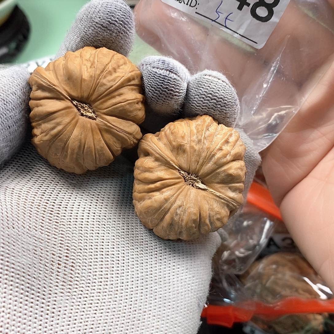桃核把件廾*嘜南瓜。          