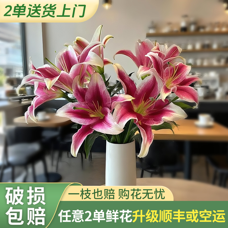 【源头优选】红福香水百合-任意2单升级快递 发货后不支持退款