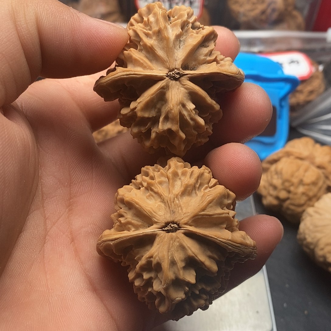 文玩核桃把件西**馍帝王49