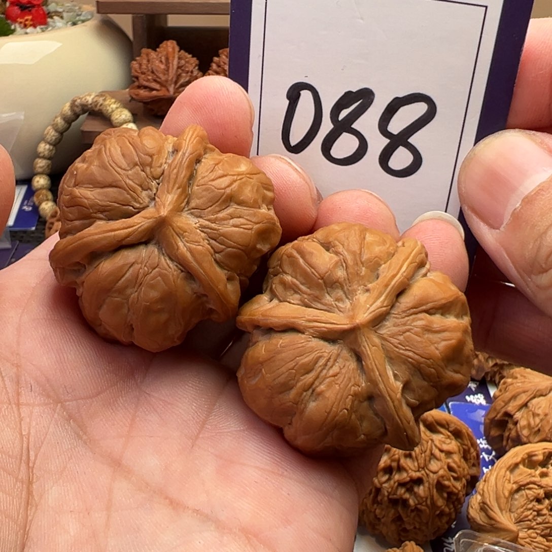 文玩核桃把件蛤蟆头三棱39尺寸088号