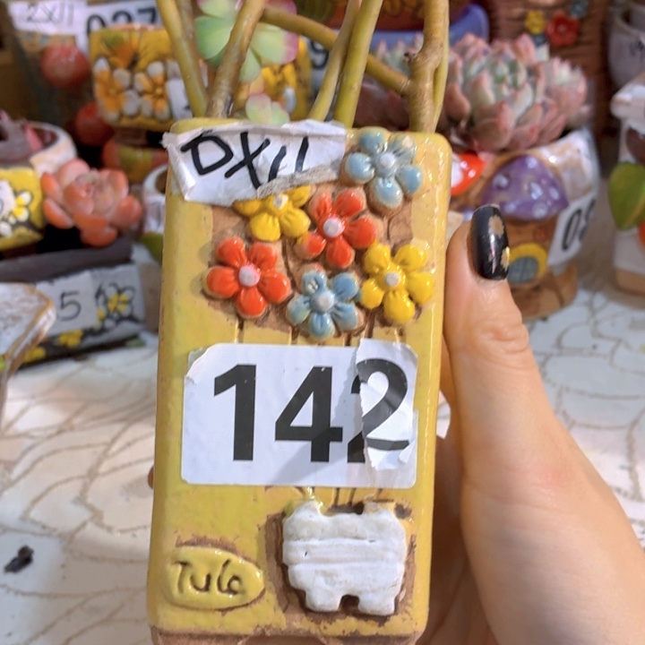多肉花盆满15包邮