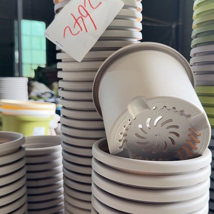 编号2642微瑕的12个一组