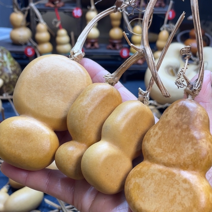 那***星花了两个小时才把它看了一个小时才睡下