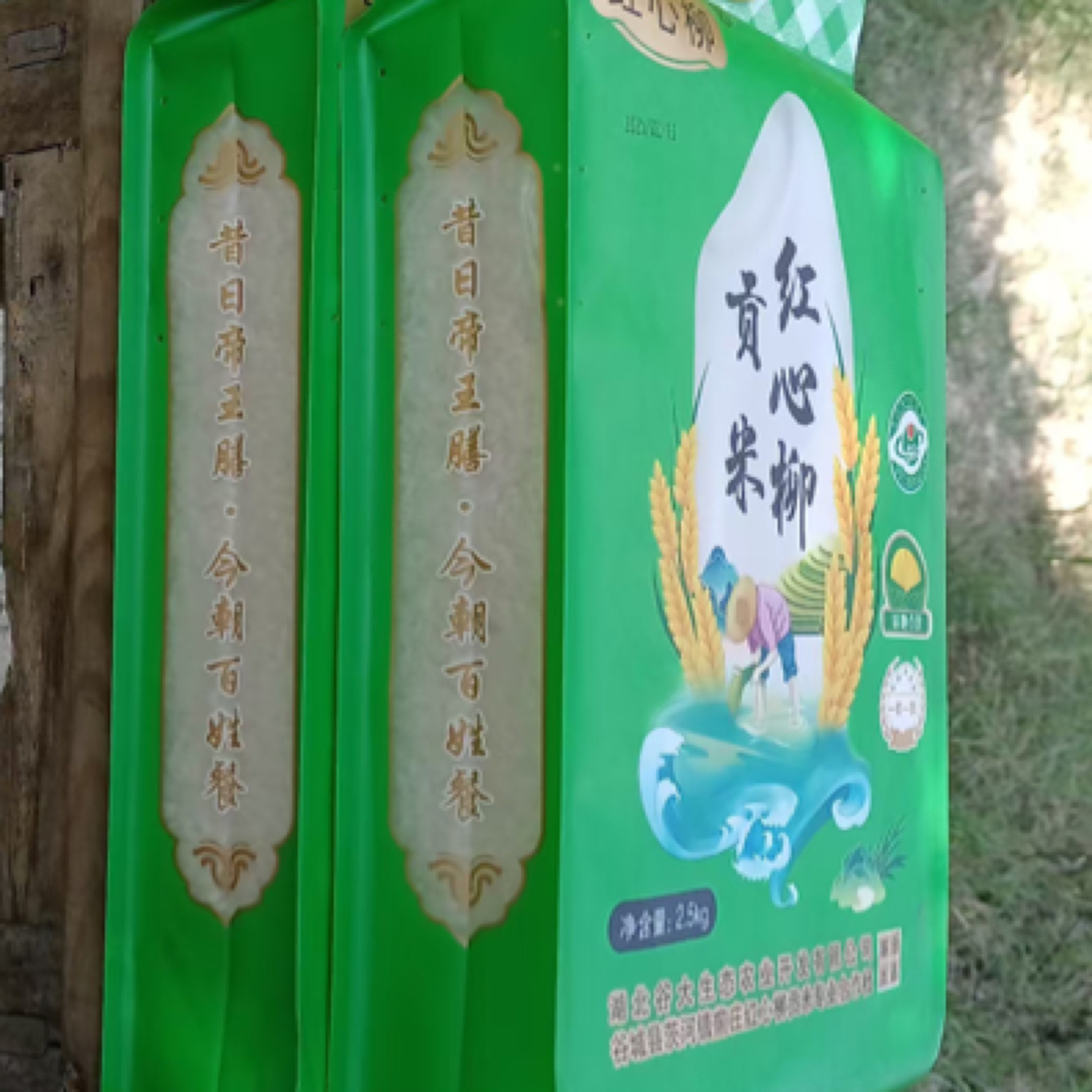 谷城茨河红心柳贡米泉水灌溉大米