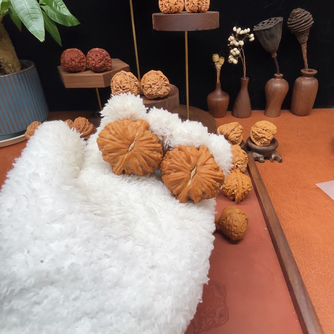 精***发手串/手链核桃全品白狮子