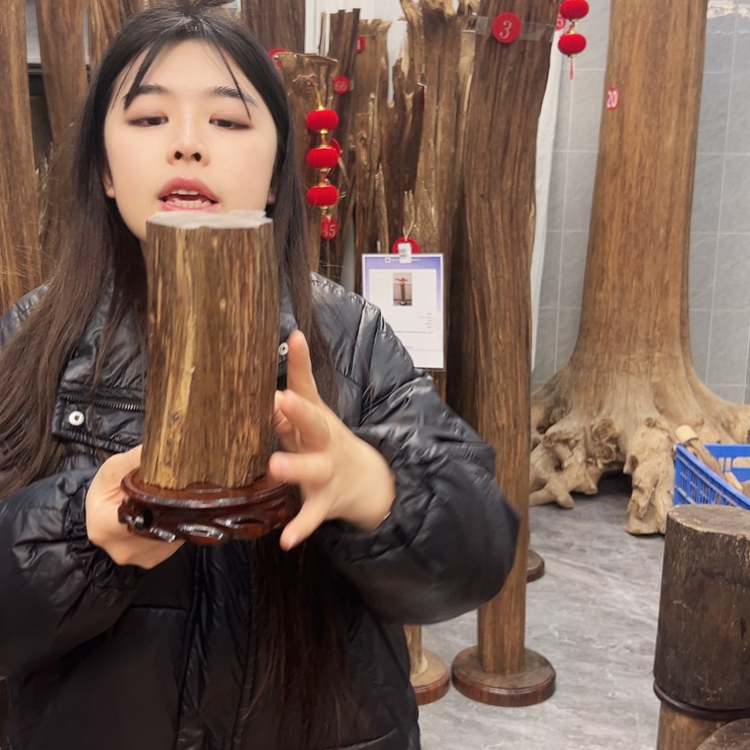 沉香摆件沉香原料摆件工艺品