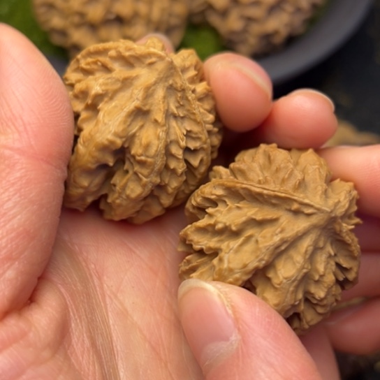 文玩核桃把件秦岭核桃15