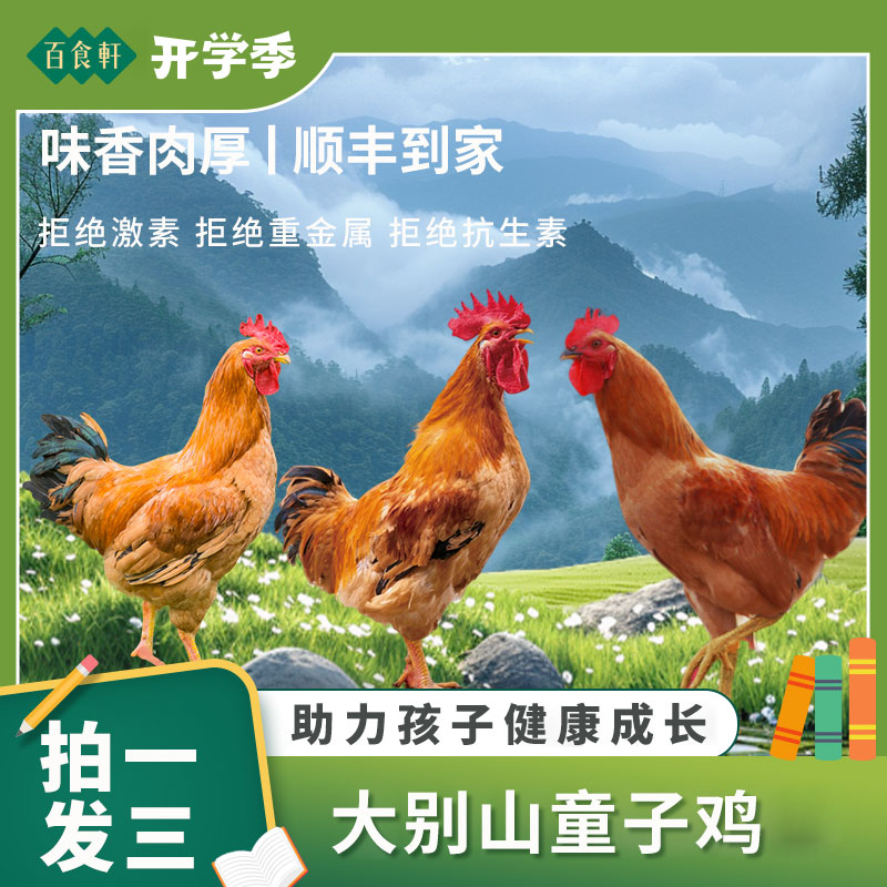 【拍一发六】9年老牌店！安徽大别山麻黄少年公鸡童子鸡香嫩土鸡现杀