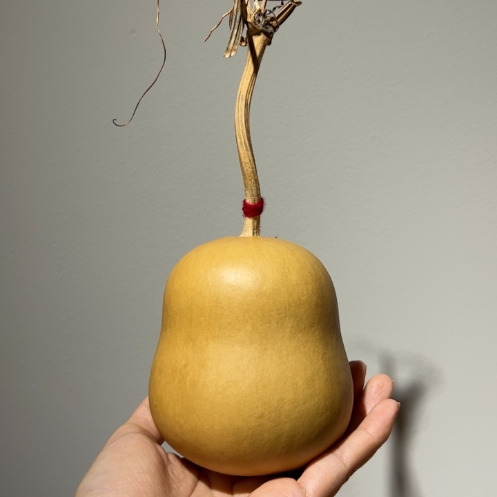 福***湘天然新皮保定墩葫芦