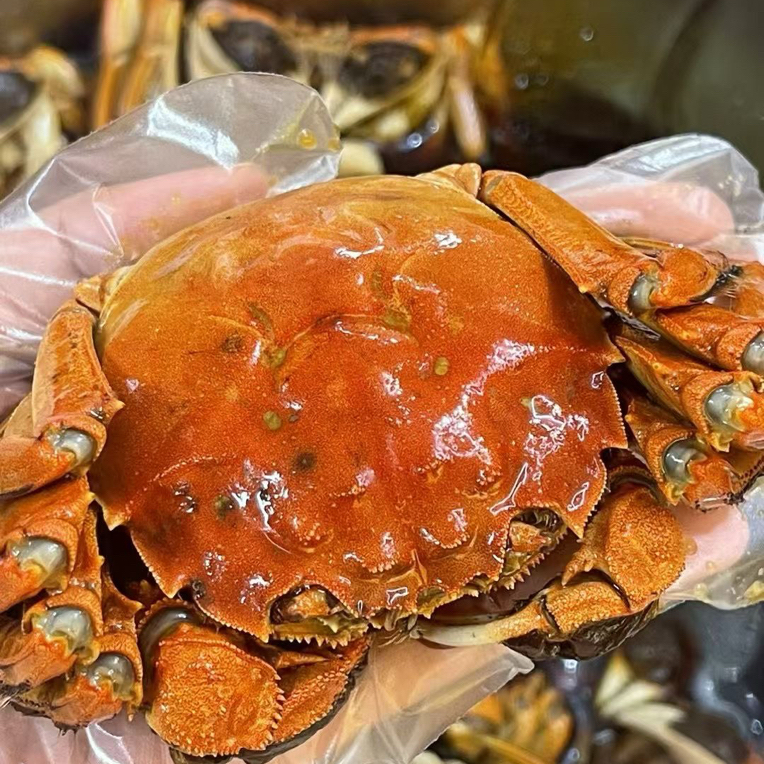 现蒸大闸蟹3.5两母蟹1只