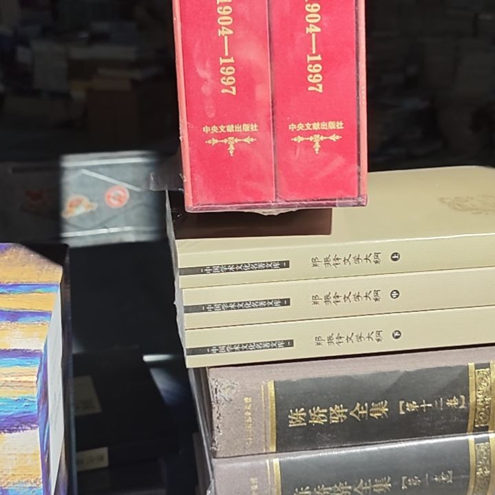 邓纪事两本一套库存书