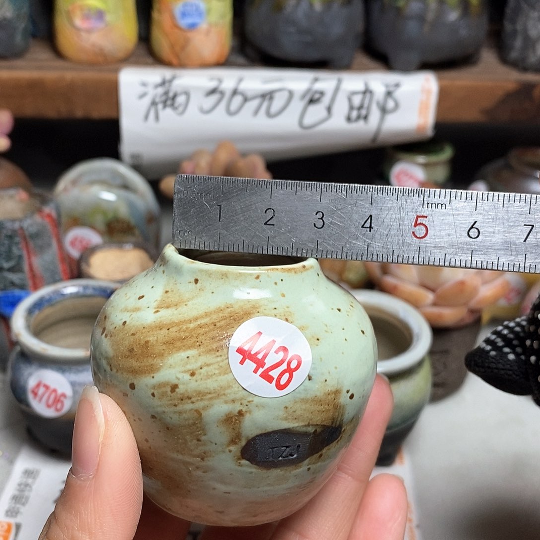 红陶拍5送一个小