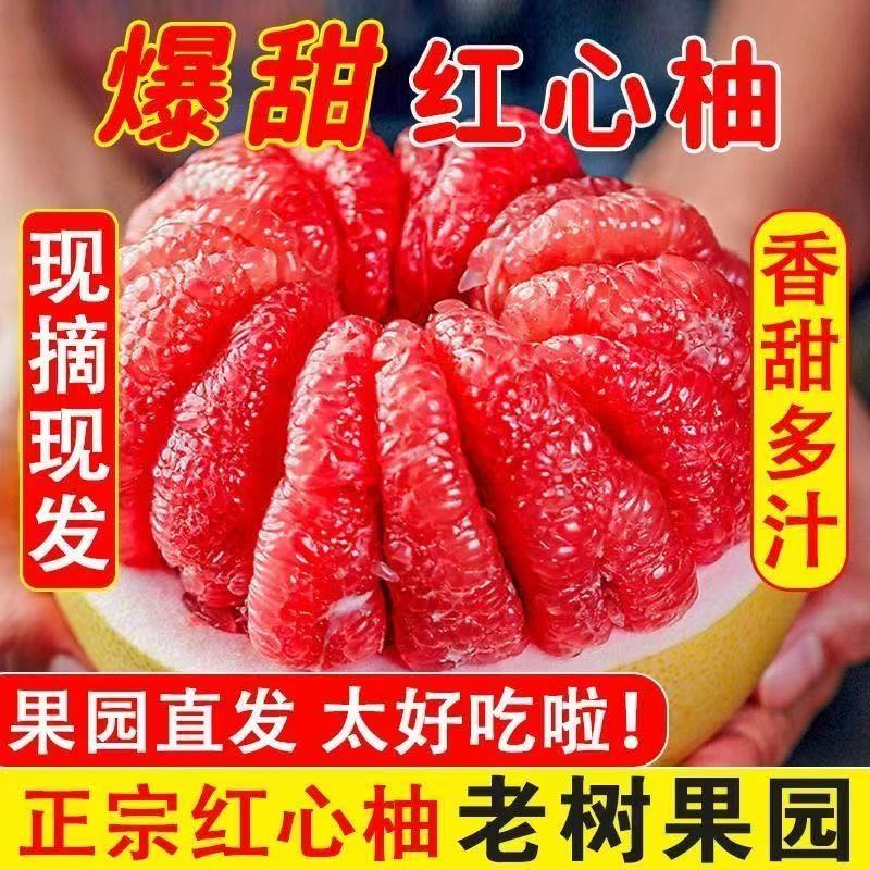 福建平和红心蜜柚新鲜水果皮薄多汁口感清甜