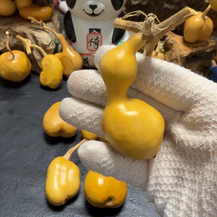 永***红66……………………………………