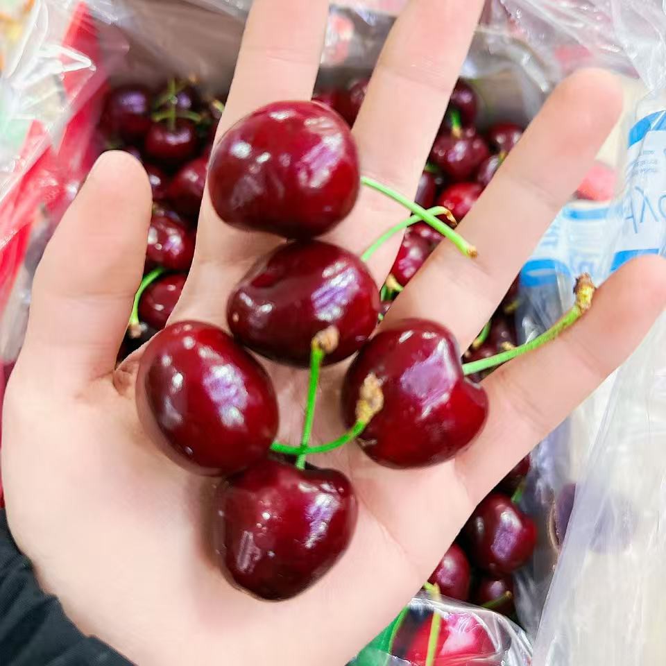 2J车厘子 500克空运桑提娜智利