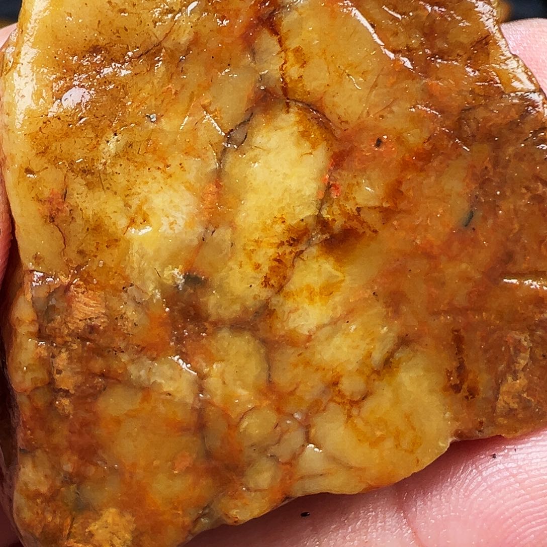 寿山石印石肖*生寿山石