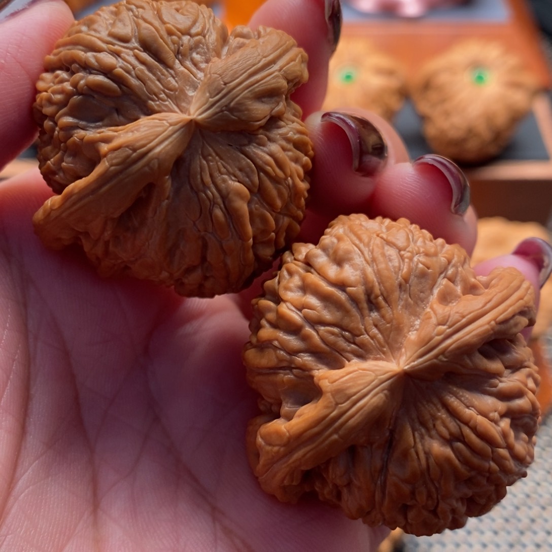 文玩核桃把件42尺寸白狮子