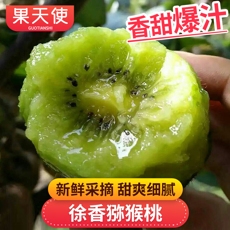 【果天使标准】陕西眉县徐香猕猴桃1.8-5斤香甜新鲜应季水果奇异果