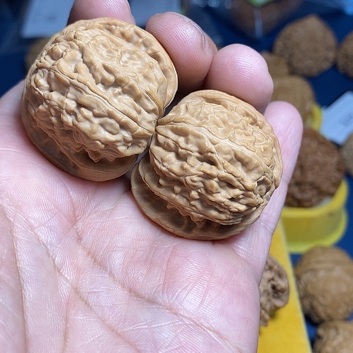 文玩核桃把件别*38尺，白狮子