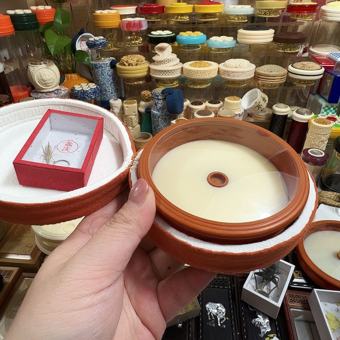 瑞***子万体➕布套➕水碗➕柬埔寨竹蛉