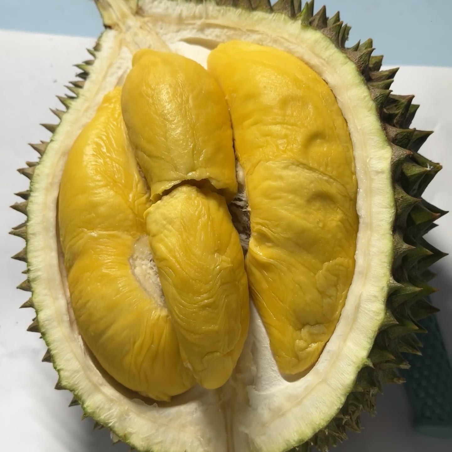 【双A】空运马来西亚D197鲜果猫山王榴莲瓜熟蒂落无需催熟到手开