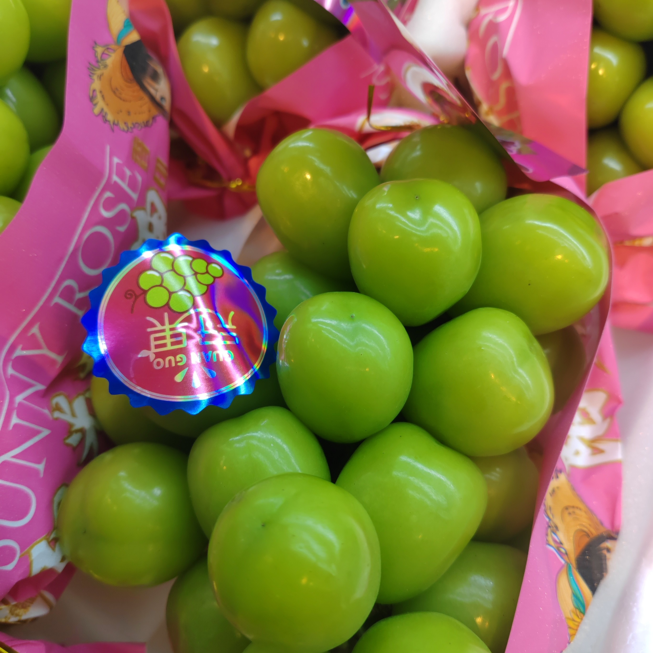 特大粒阳光玫瑰（一串 约3斤 左右）