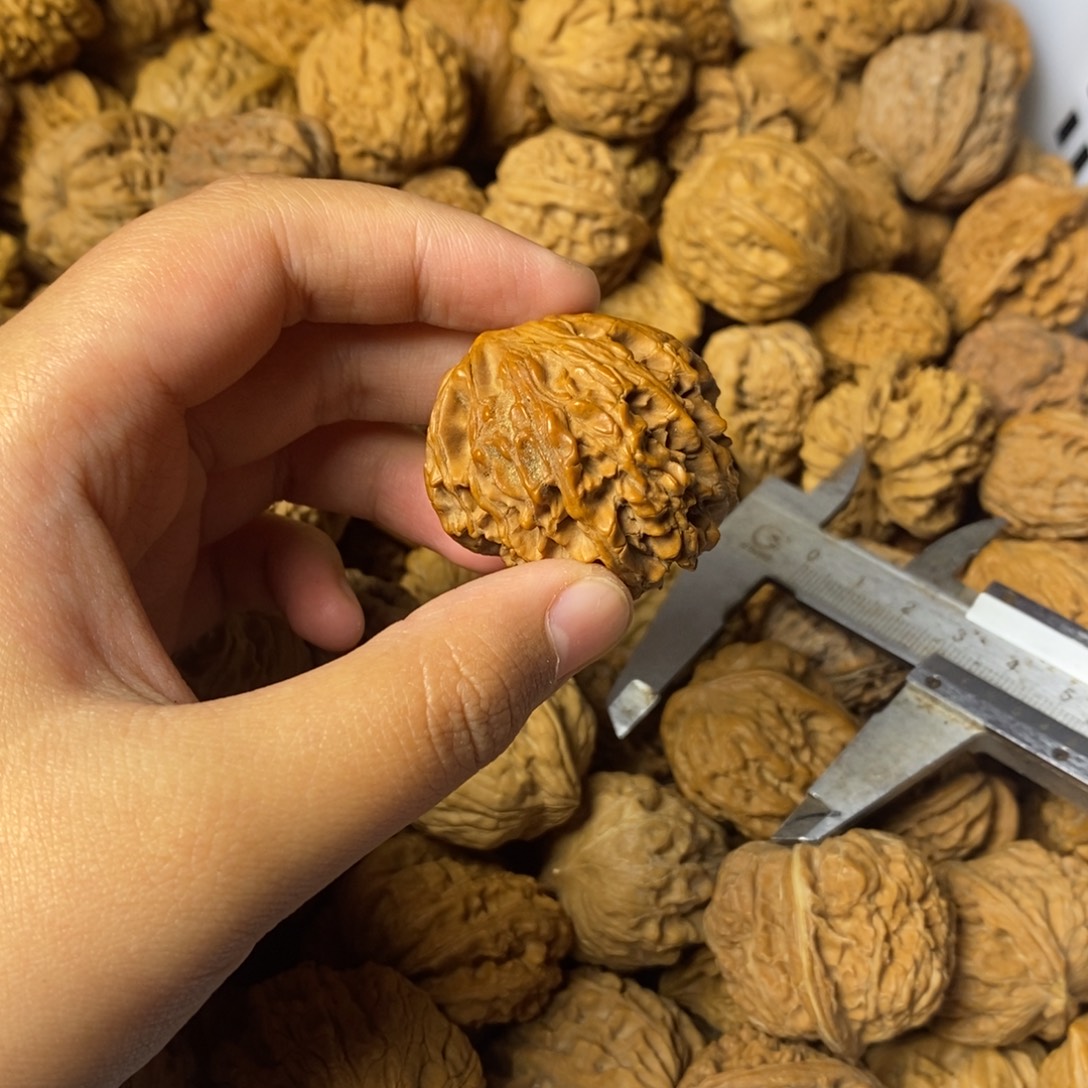 星***享大叶紫檀（黑酸枝木类）