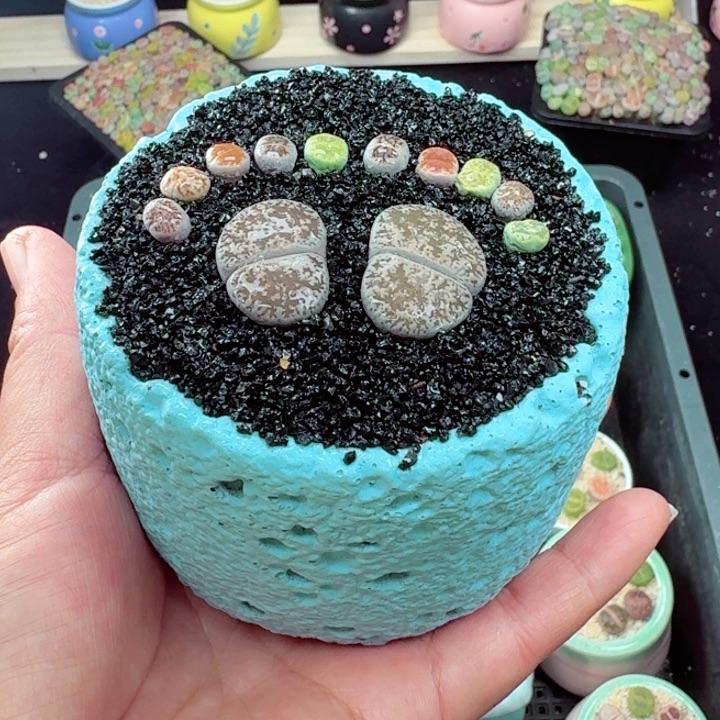 512零下地区记得拍保温箱