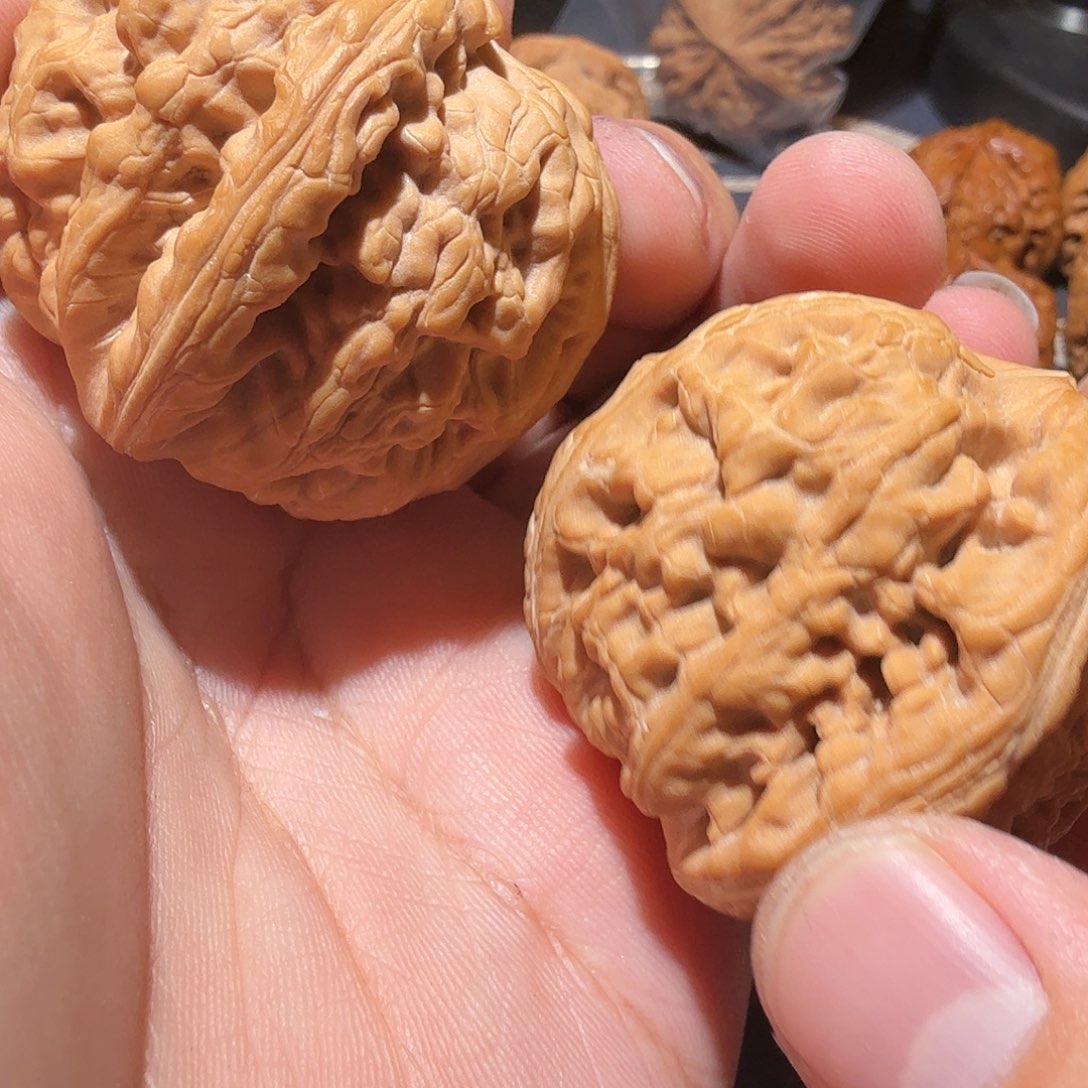 文玩核桃把件阳*红锦鲤·天花板