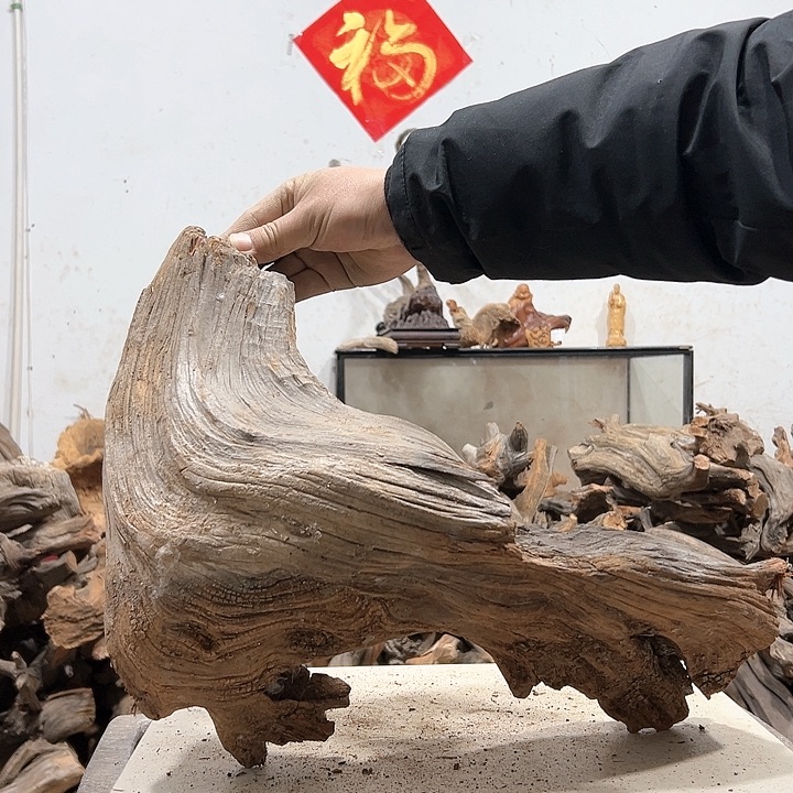 柏木硬**理我们的生活是一场